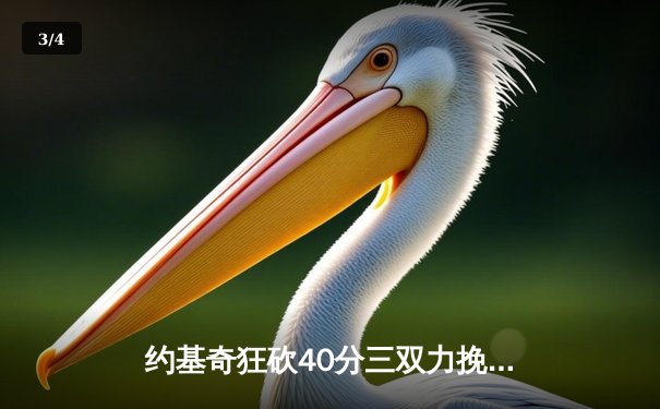 约基奇狂砍40分三双力挽狂澜，掘金加时险胜勇士延续卫冕希望 - 3